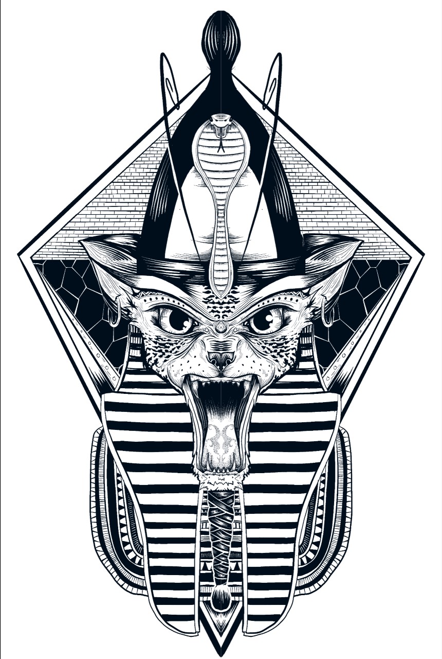 CoinZoomInc NFT Collection