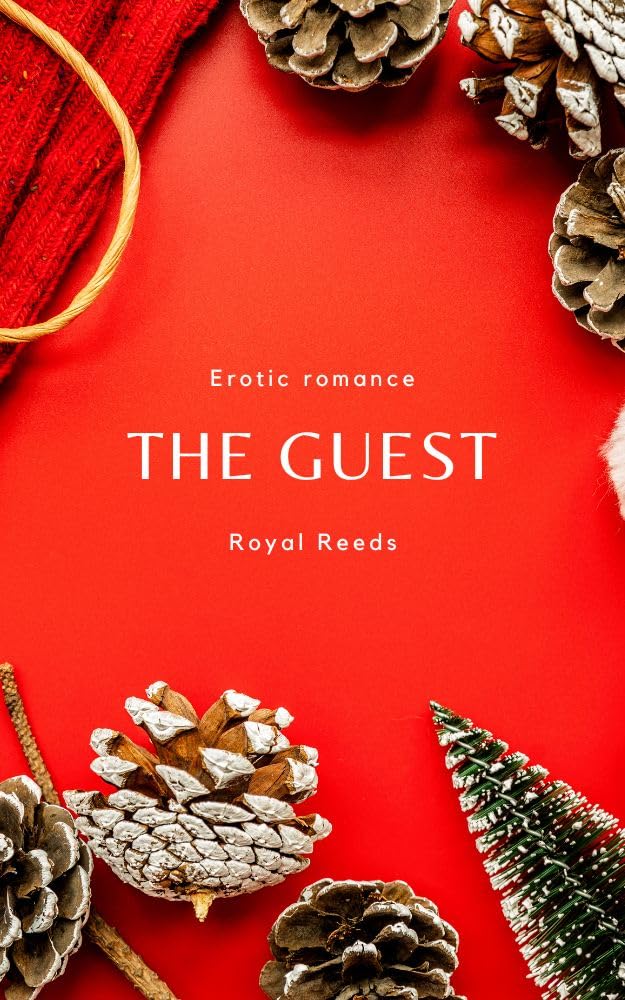 The Guest: Erotic Romance