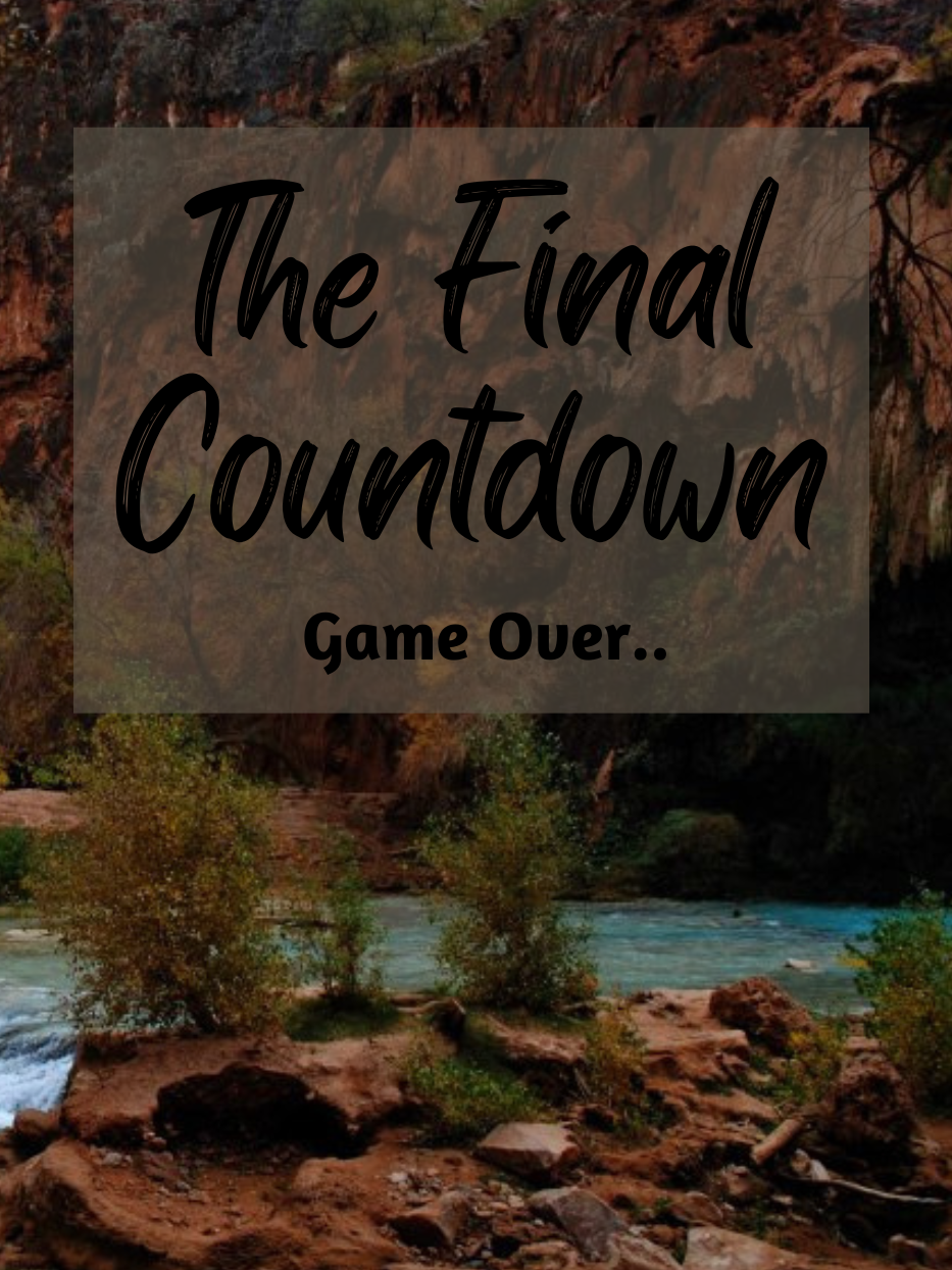 The Final CountDown Peace of Mind Planner