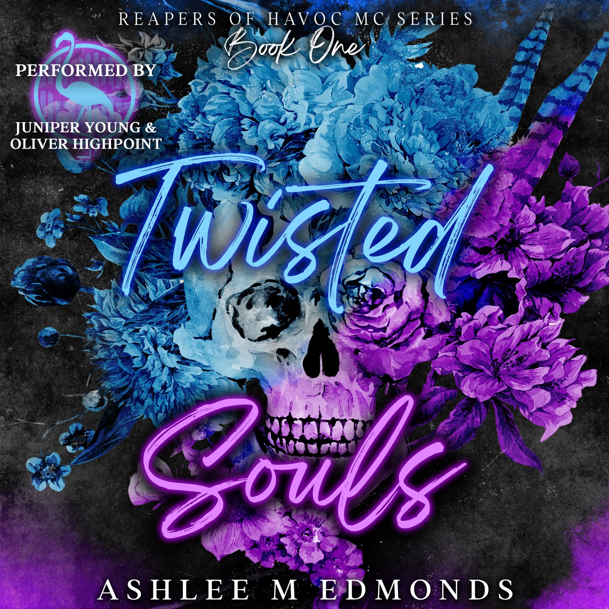 Twisted Souls (Reapers of Havoc MC, book 1)