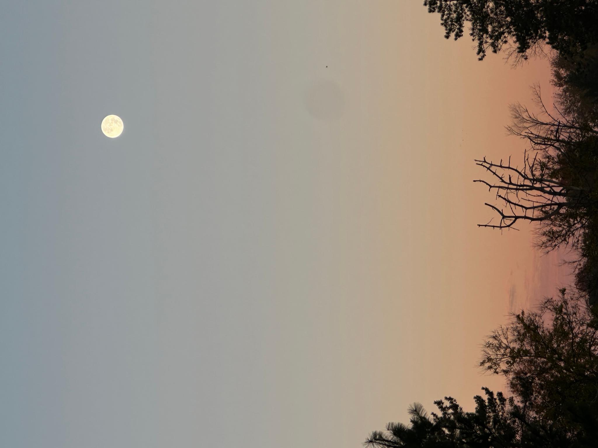 We Believe Them - Not Him