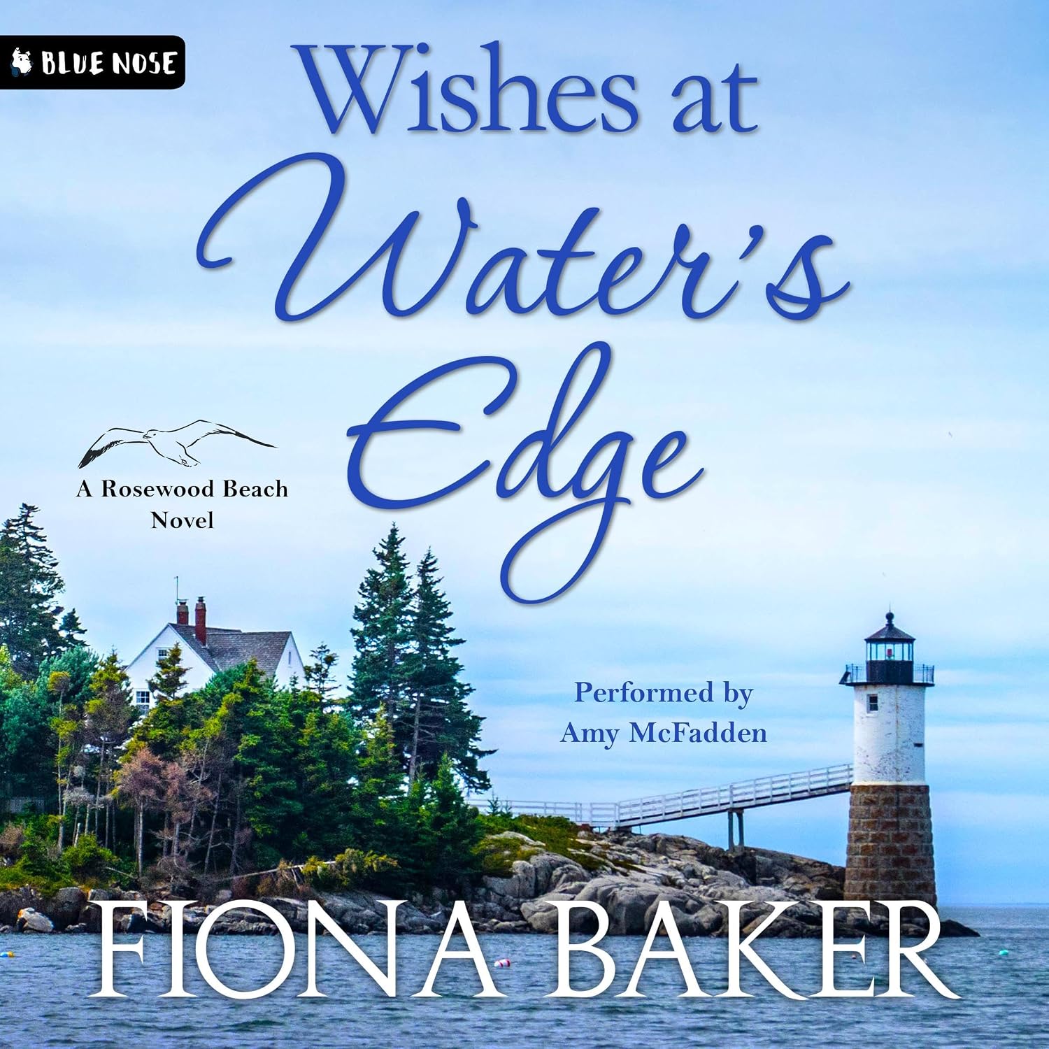 Wishes At Water's Edge