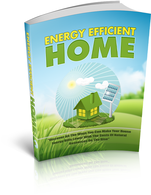 Energy Efficient Home