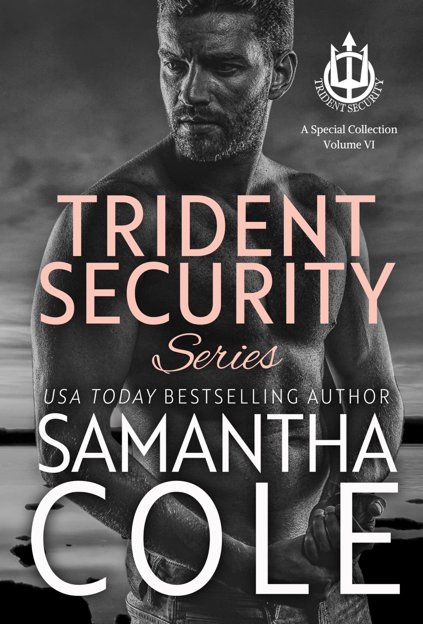 Trident Security Series: A Special Collection Volume VI