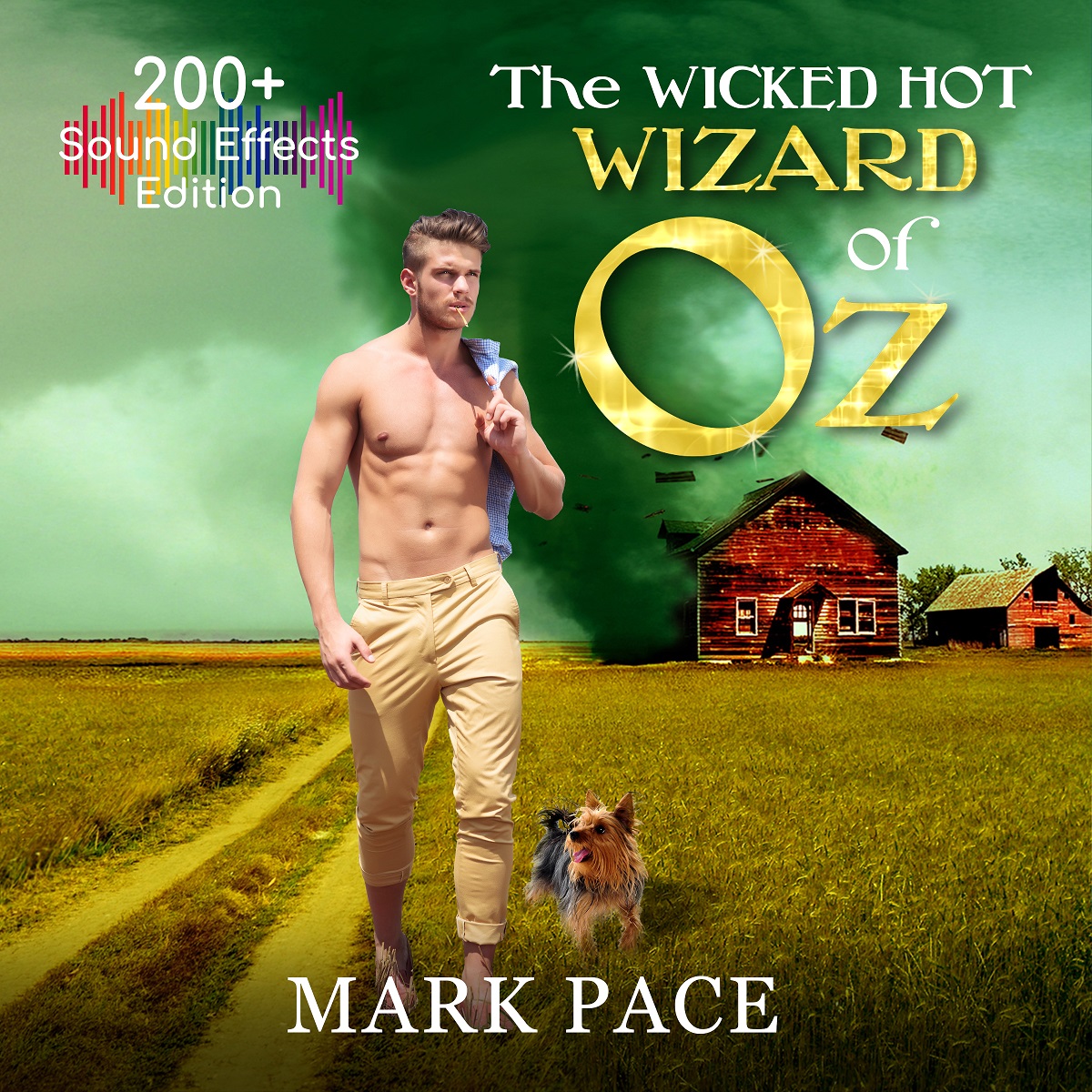 The Wicked Hot Wizard of Oz (Sound Effects Special Edition)