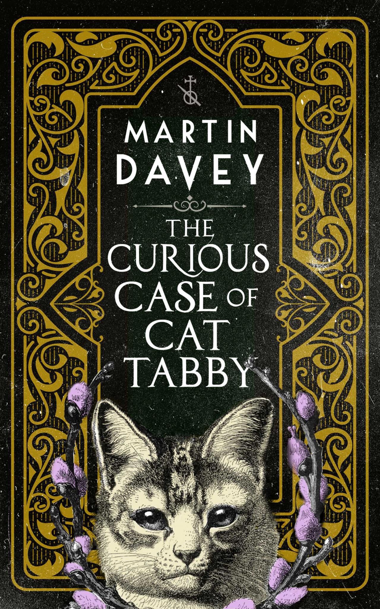 The Curious Case of Cat Tabby