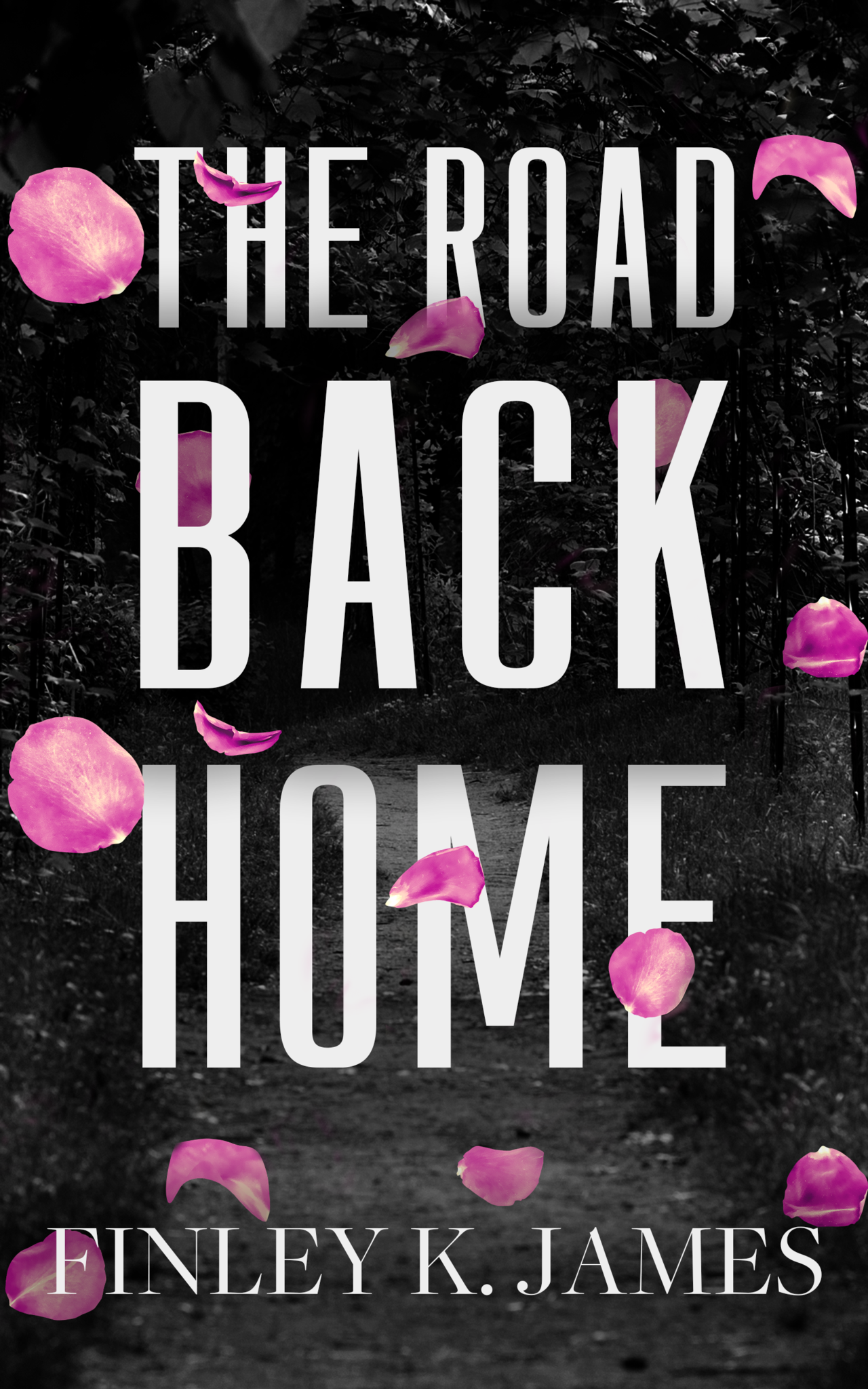 The Road Back Home