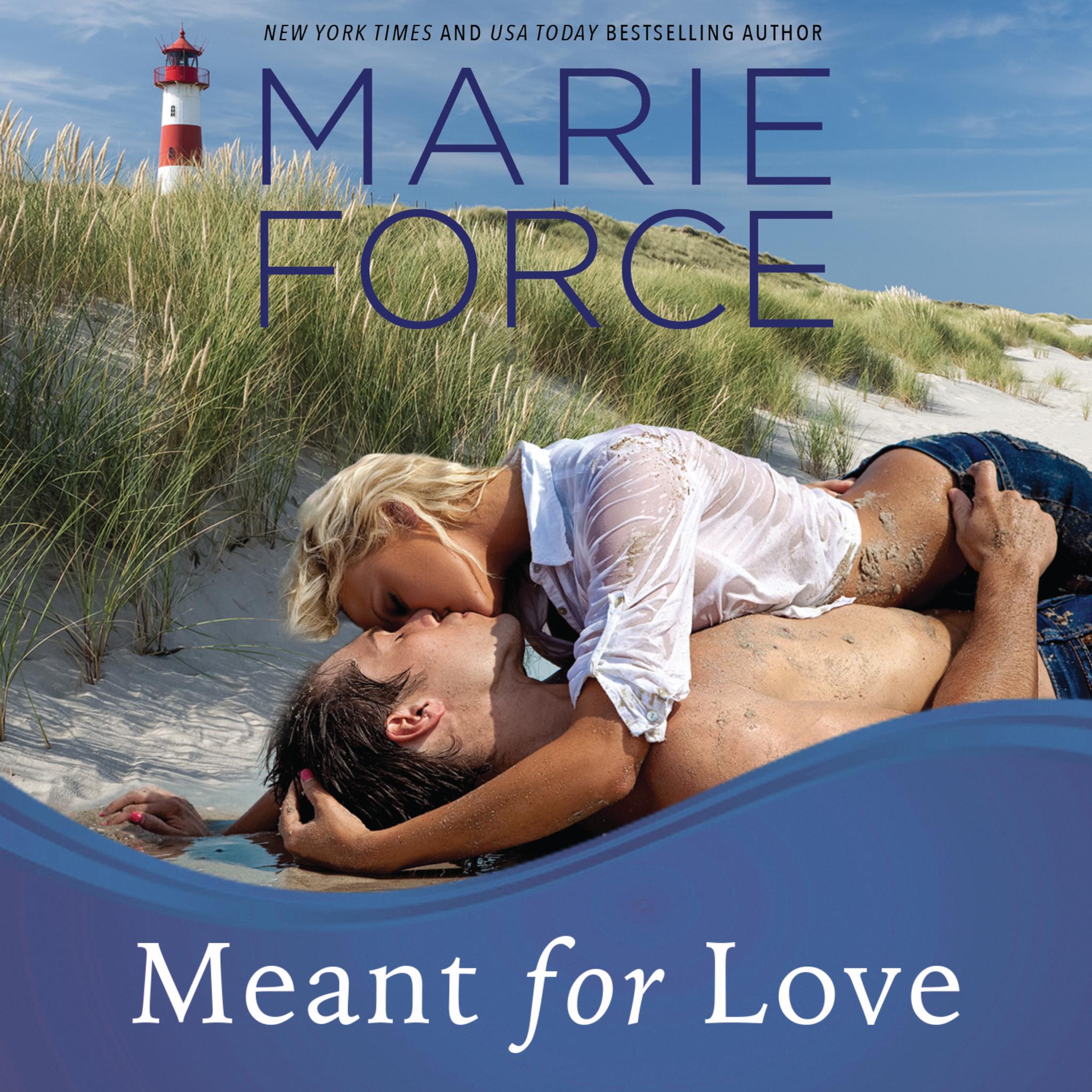 Meant for Love, Book 10, Gansett Island Series