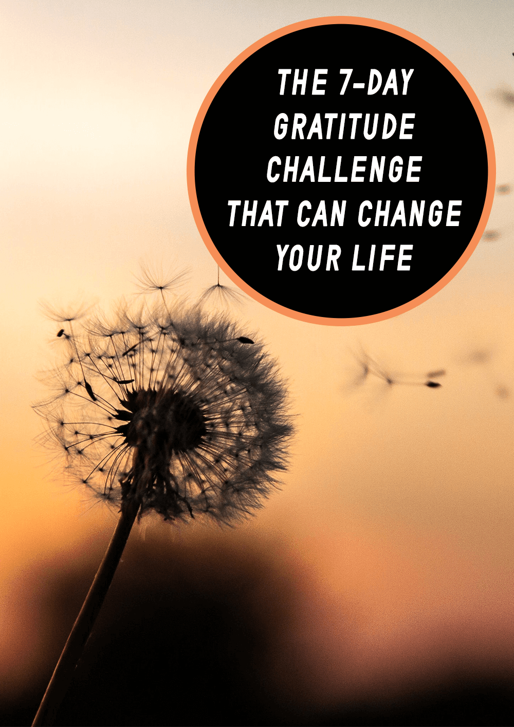 The 7-Day Gratitude Challenge That Can Change Your Life