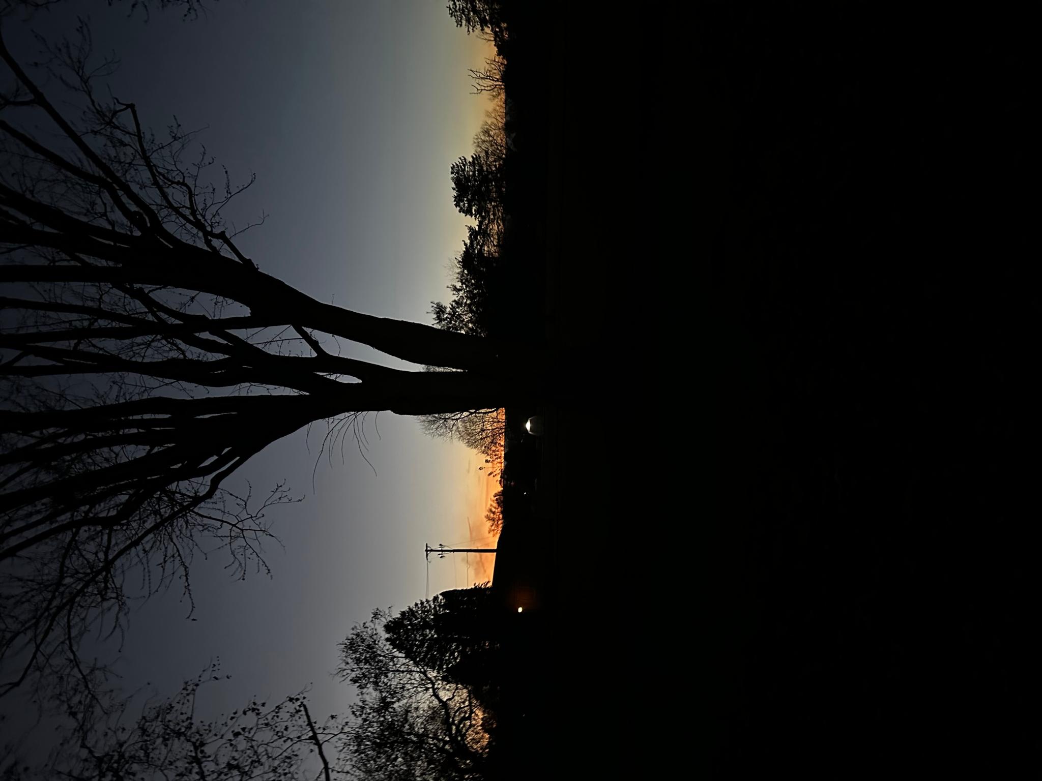 FU FU and FU Some More 