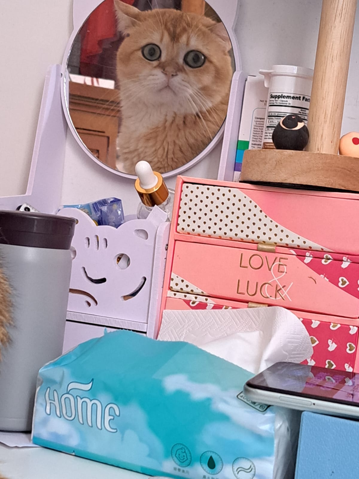 My Little Cat