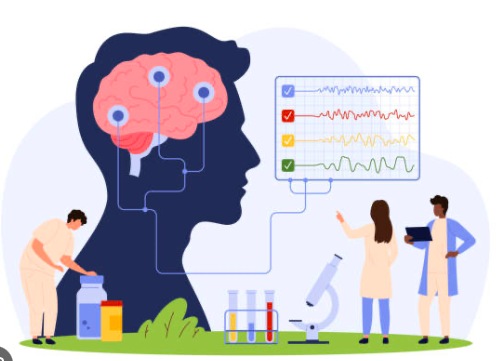 Meet the (brain) Crew