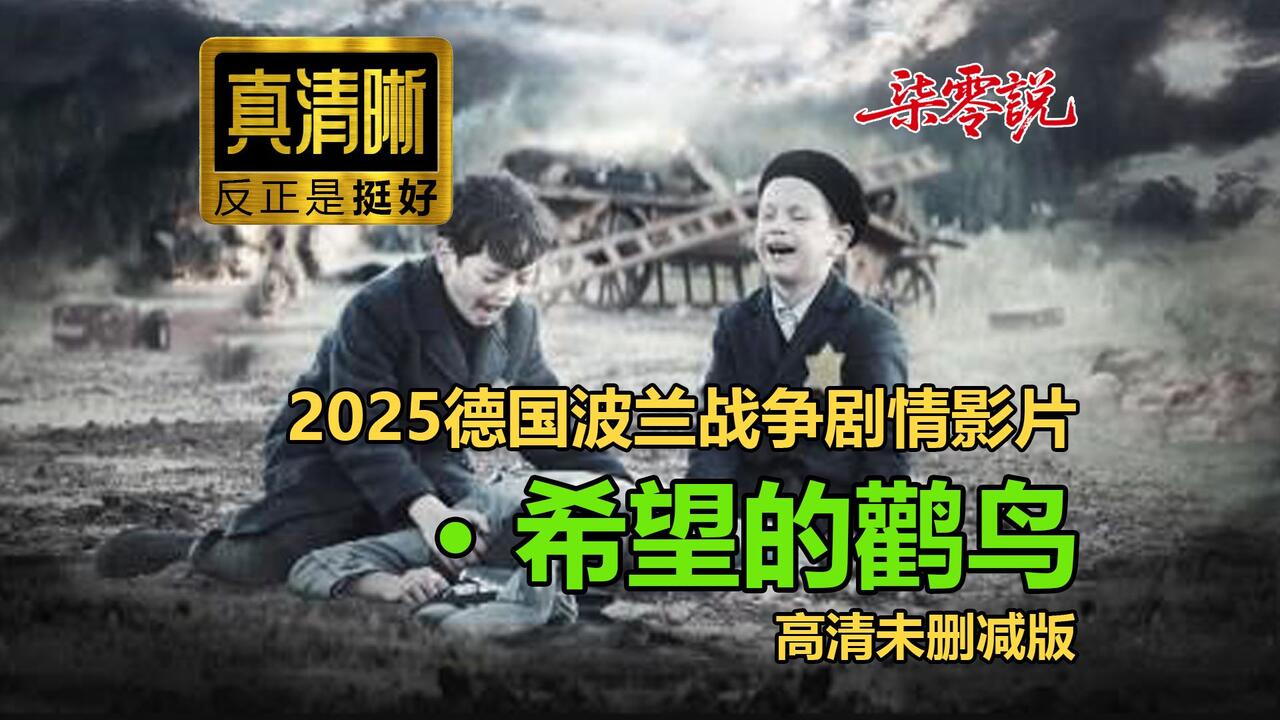 以鹳鸟迁徙为隐喻,编织2025年关于坚守与重生的温暖诗篇。画面如油画般细腻,情感在自然轮回中悄然流淌。不刻意煽情,却让希望如羽翼般轻盈降落,适合每一个在时代洪流中寻找微光的你。