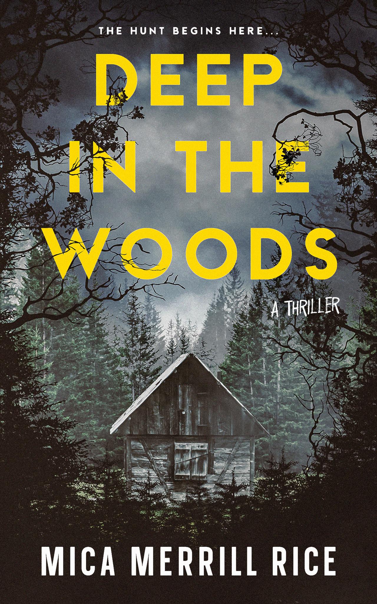 Deep in the Woods: A Hudson Valley Small Town Mystery Thriller