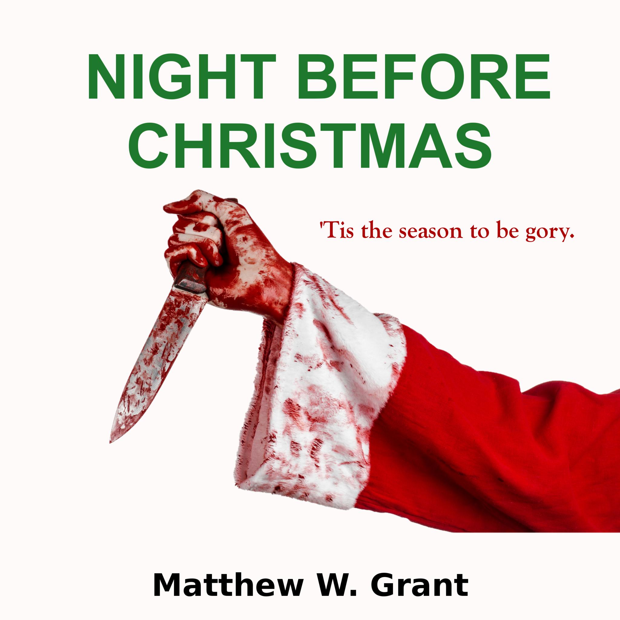 Night Before Christmas (Holiday Crime Short Story #1)
