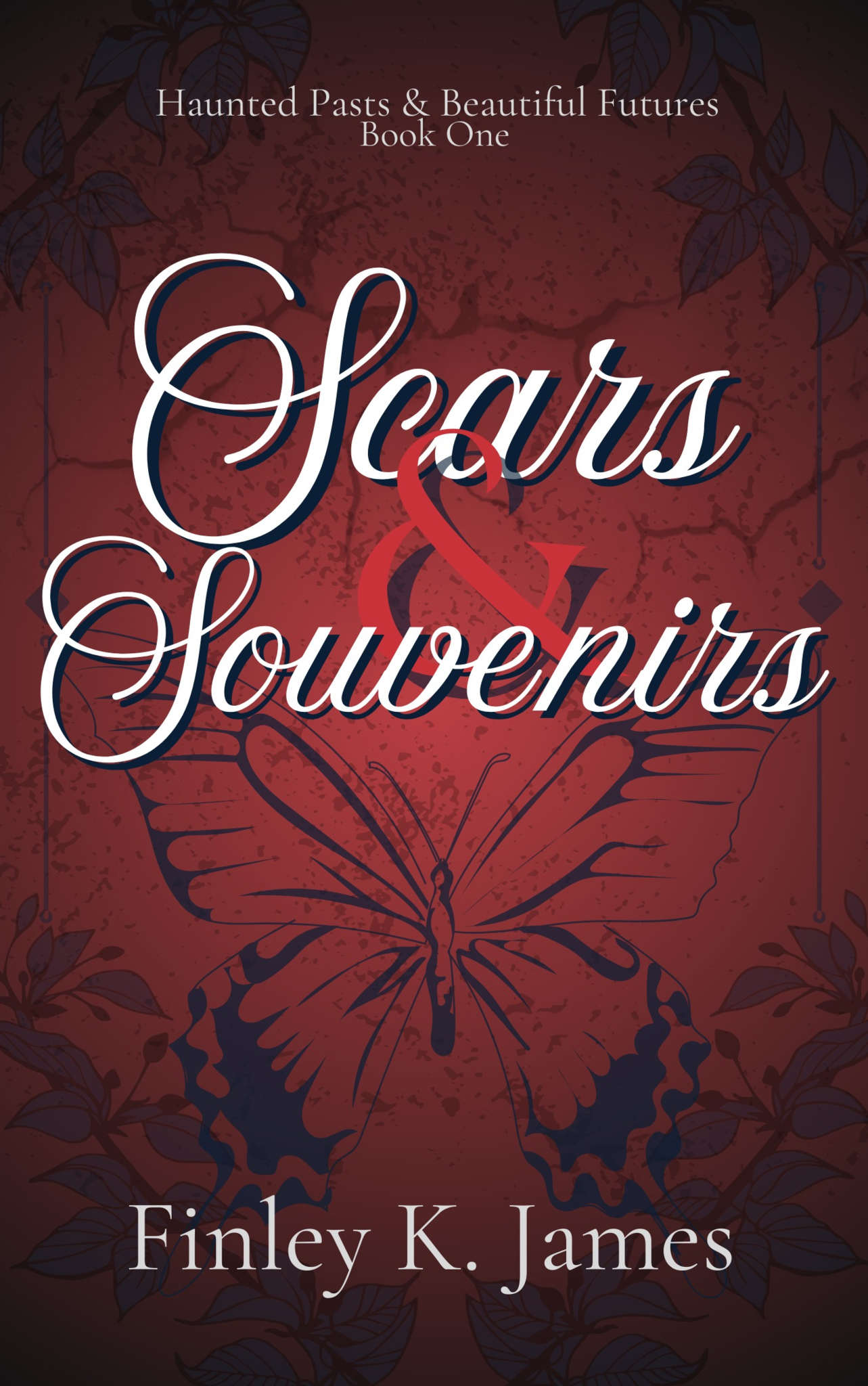Scars & Souvenirs: Max's Journey