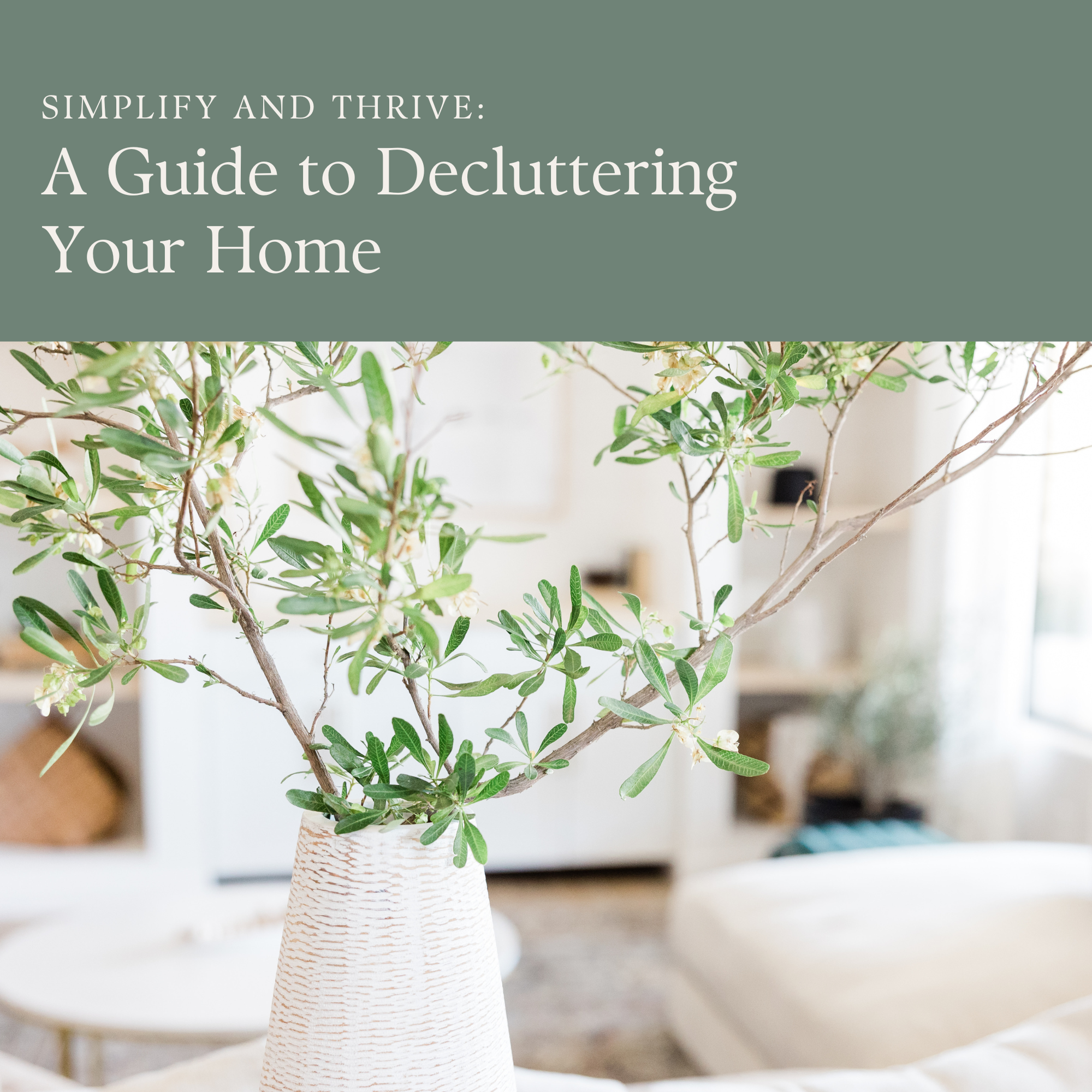 Simplify and Thrive: A Guide to Decluttering Your Home