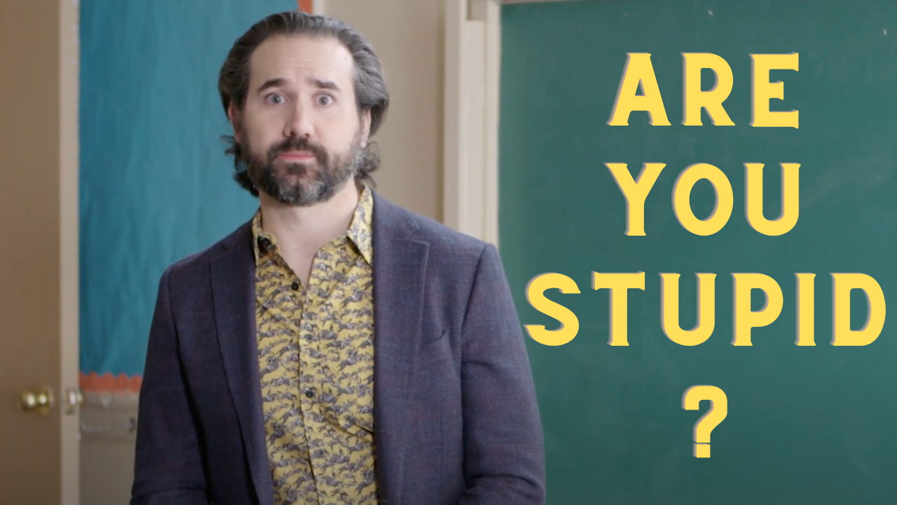 Are You Stupid?