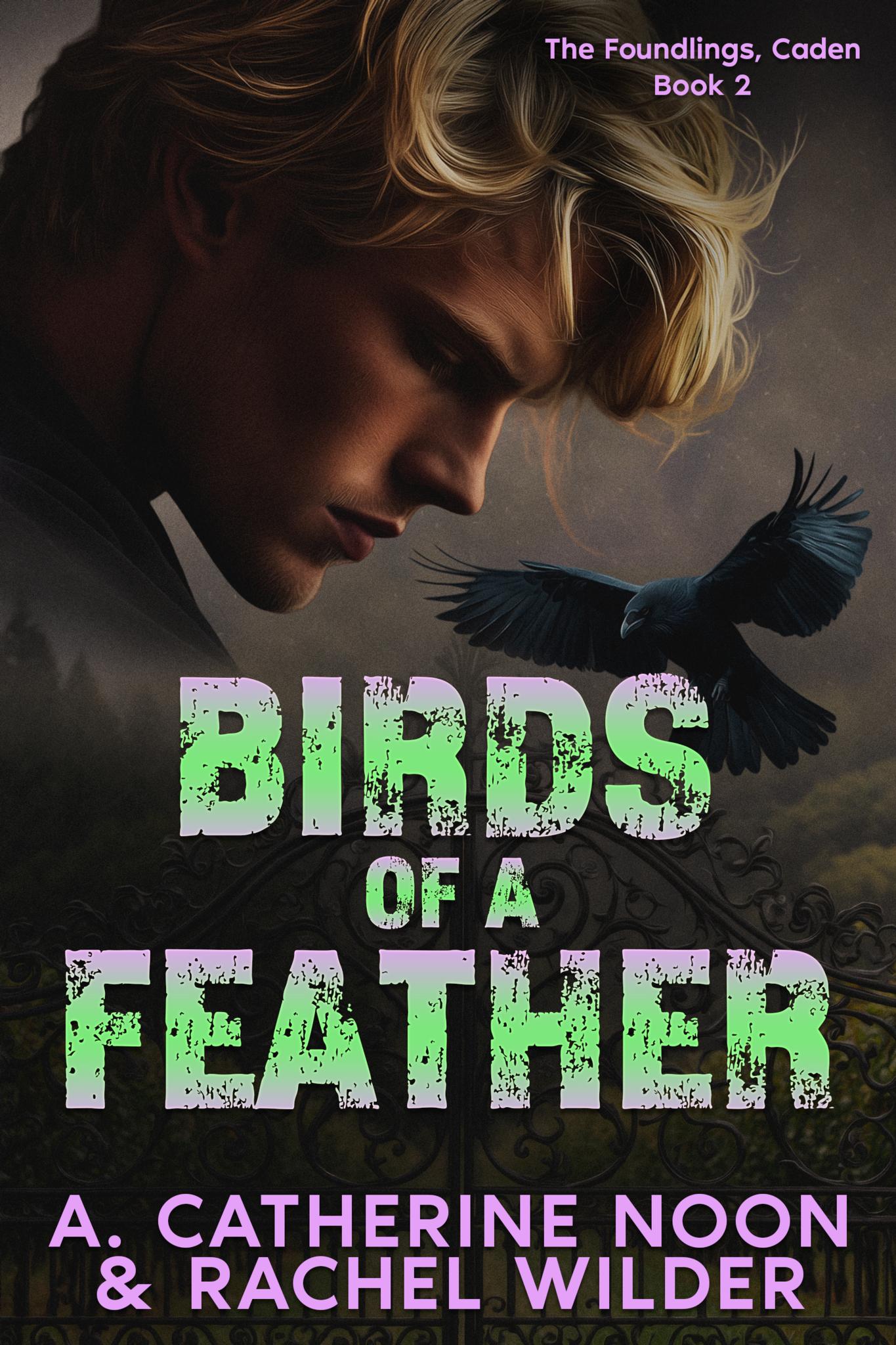 Birds of a Feather: The Foundlings, Caden, Book 2