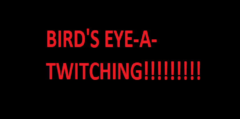 BIRD'S EYE-A-TWITCHING!!!!!! [CARTOON]
